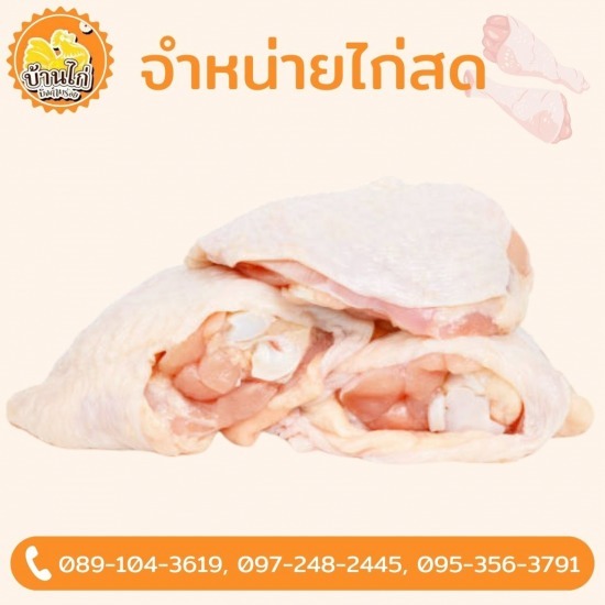 ขายส่งเนื้อไก่ ขายส่งเนื้อไก่