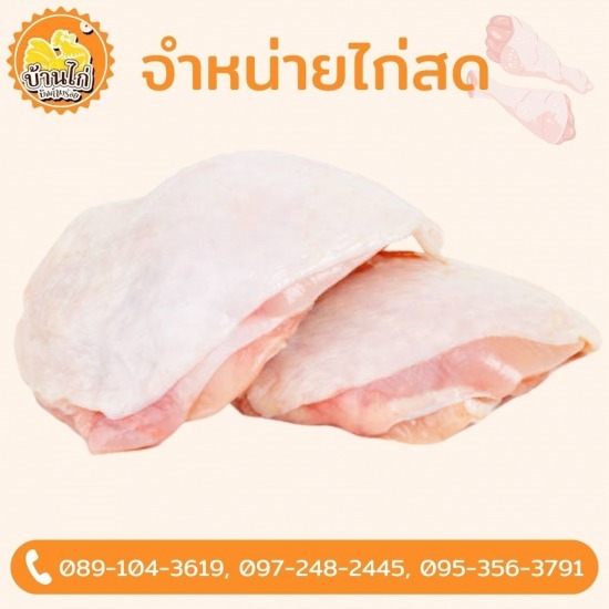 โรงงานไก่ เนื้อไก่ - ขายส่งไก่ - บ้านไก่บึงคำพร้อย โรงงานไก่ เนื้อไก่ - ขายส่งไก่ - บ้านไก่บึงคำพร้อย